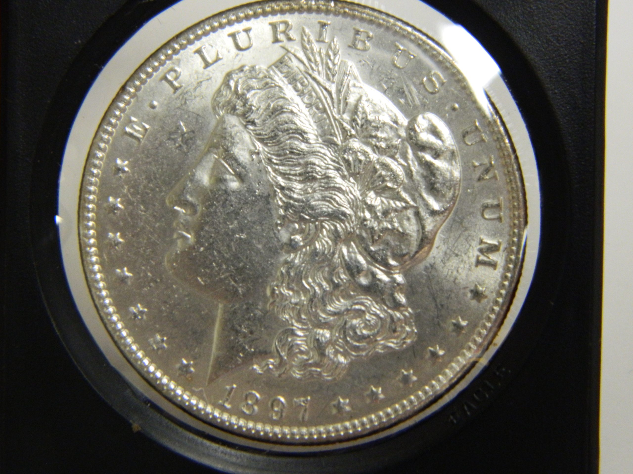 Morgan Silver Dollar Random Date 1878-1904 (BU)